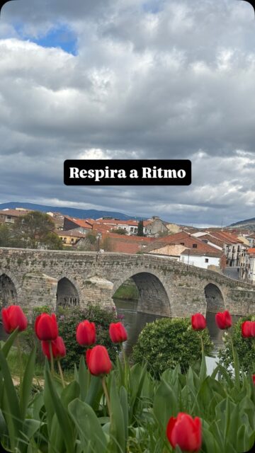 ¿Y si empiezas el día de una forma diferente? 🌿 

Respira. 
Muévete. 
Siente el ritmo. 

Te invitamos a una experiencia única en plena naturaleza: 
yoga acompañado de percusión en vivo, 
meditación con handpan 
y un brunch para compartir y disfrutar sin prisa. 

Un espacio para desconectar del ruido 
y volver a ti. 

@sergiodiazbernabe a los sonidos, y @cateringalmirez a los fuegos, en nuestro sitio favorito, la finca @casasdeltormesfinca 

Ya han volado las primeras plazas.